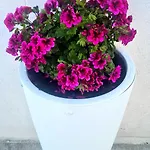 Holiday home Casa Paradiso *