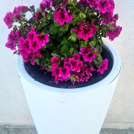 Σπίτι διακοπών Casa Paradiso *