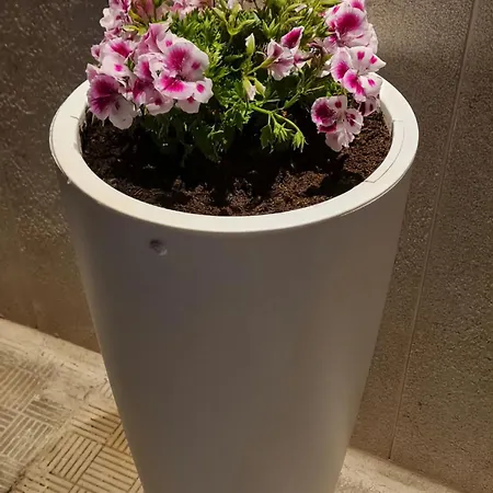 Casa Paradiso Manfredonia