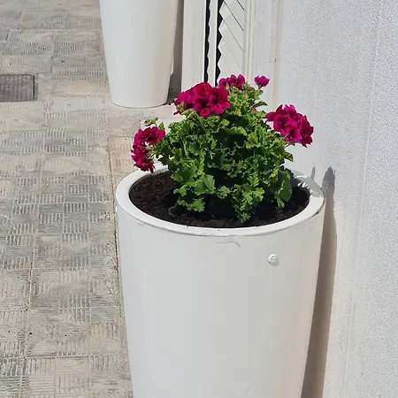 Casa Paradiso 別荘 *