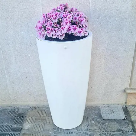 Casa Paradiso * マンフレドーニア