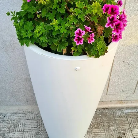 Casa Paradiso Manfredonia