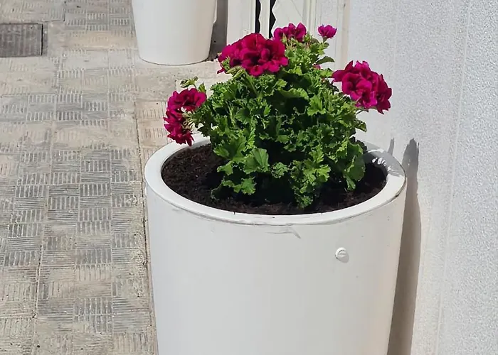 Casa Paradiso Holiday home *