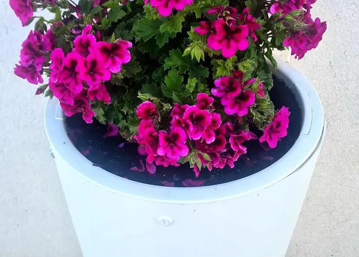 Дом отдыха Casa Paradiso *